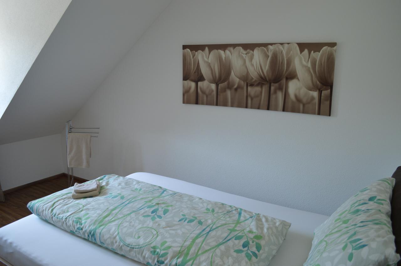 Bnb Zum Schluessel Unterehrendingen Buitenkant foto